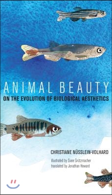 Animal Beauty: On the Evolution of Biological Aesthetics