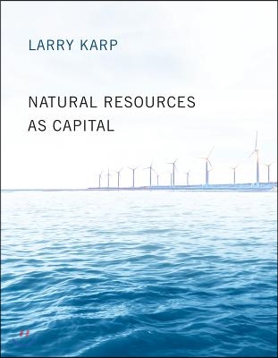 The Natural Resources as Capital