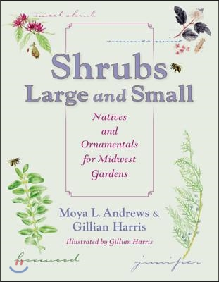 Shrubs Large and Small: Natives and Ornamentals for Midwest Gardens