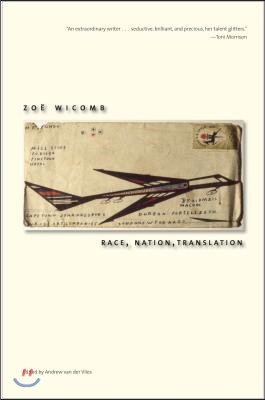 Race, Nation, Translation: South African Essays, 1990-2013