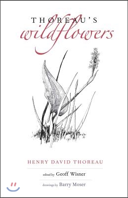 Thoreau&#39;s Wildflowers