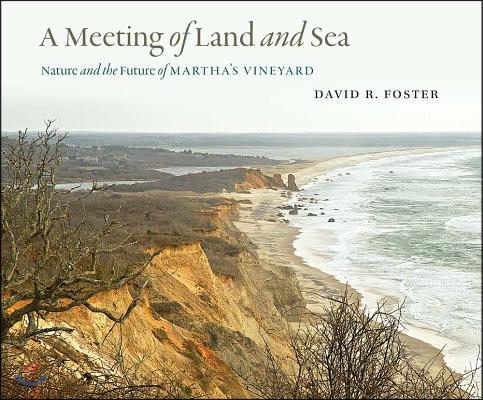 A Meeting of Land and Sea: Nature and the Future of Martha&#39;s Vineyard