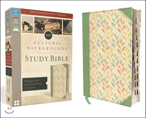 Cultural Backgrounds Study Bible