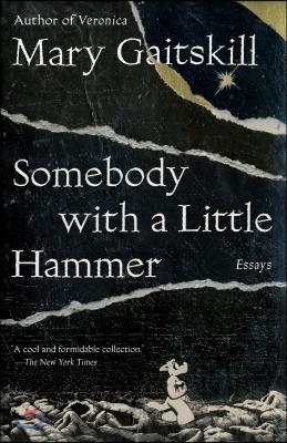 Somebody with a Little Hammer: Essays