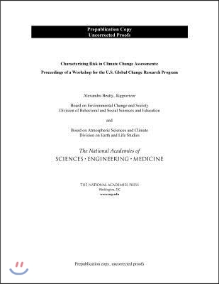 Characterizing Risk in Climate Change Assessments