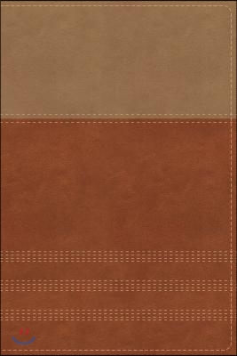 NIV, Biblical Theology Study Bible, Imitation Leather, Tan/Brown, Indexed, Comfort Print: Follow God&#39;s Redemptive Plan as It Unfolds Throughout Script