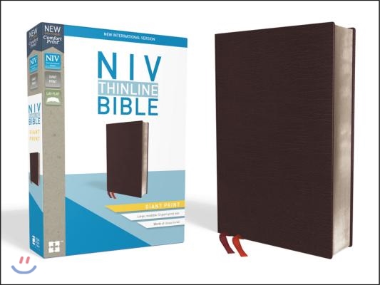 NIV, Thinline Bible, Giant Print, Bonded Leather, Burgundy, Red Letter Edition