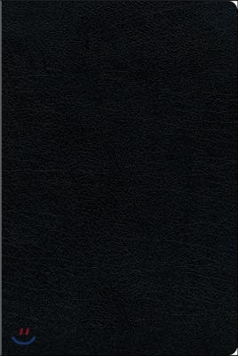 NIV, Biblical Theology Study Bible, Bonded Leather, Black, Indexed, Comfort Print: Follow God&#39;s Redemptive Plan as It Unfolds Throughout Scripture