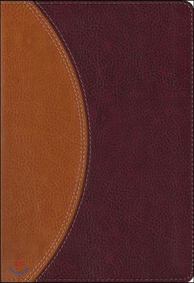 Study Bible-NIV-Compact