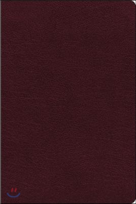 NIV, Biblical Theology Study Bible, Bonded Leather, Burgundy, Indexed, Comfort Print: Follow God&#39;s Redemptive Plan as It Unfolds Throughout Scripture