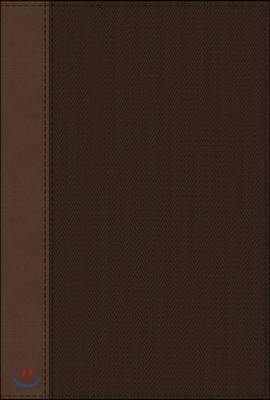 Nrsv, Cultural Backgrounds Study Bible, Leathersoft, Tan/Brown, Comfort Print: Bringing to Life the Ancient World of Scripture