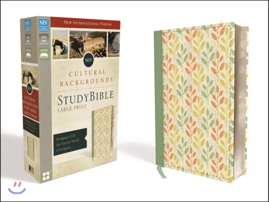 NIV Cultural Backgrounds Study Bible