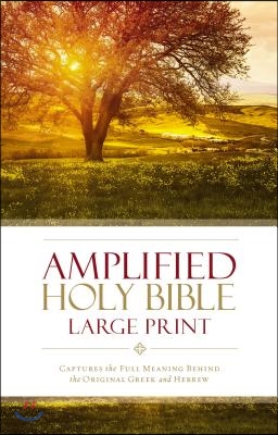 Amplified Bible-Am-Large Print: Captures the Full Meaning Behind the Original Greek and Hebrew