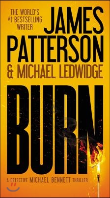 Burn (#1 New York Times Bestseller)