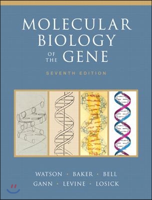 Molecular Biology of the Gene