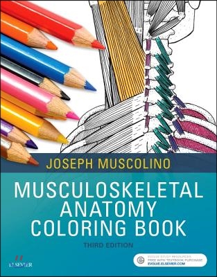Musculoskeletal Anatomy Coloring Book