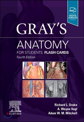 Gray's Anatomy for Students Flash Cards