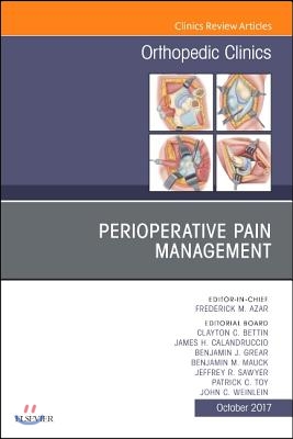 Perioperative Pain Management, an Issue of Orthopedic Clinics: Volume 48-4