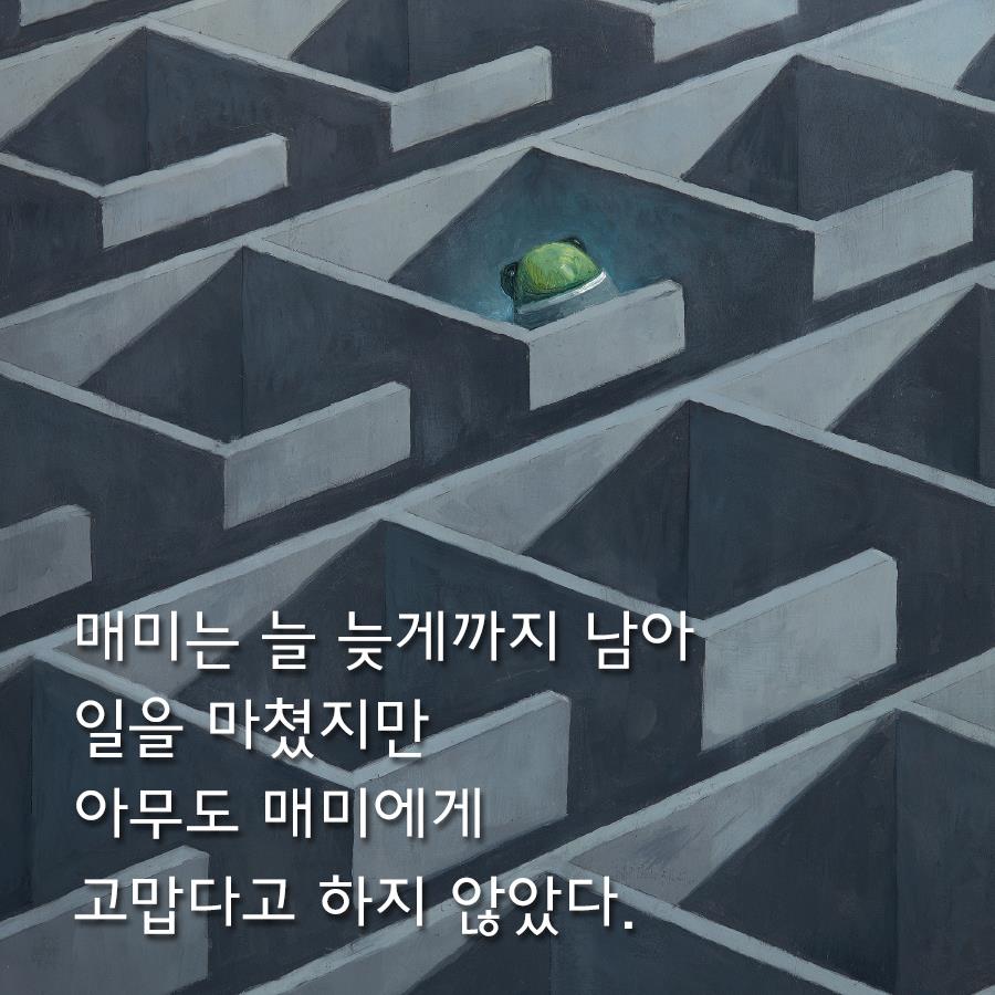 카드뉴스3