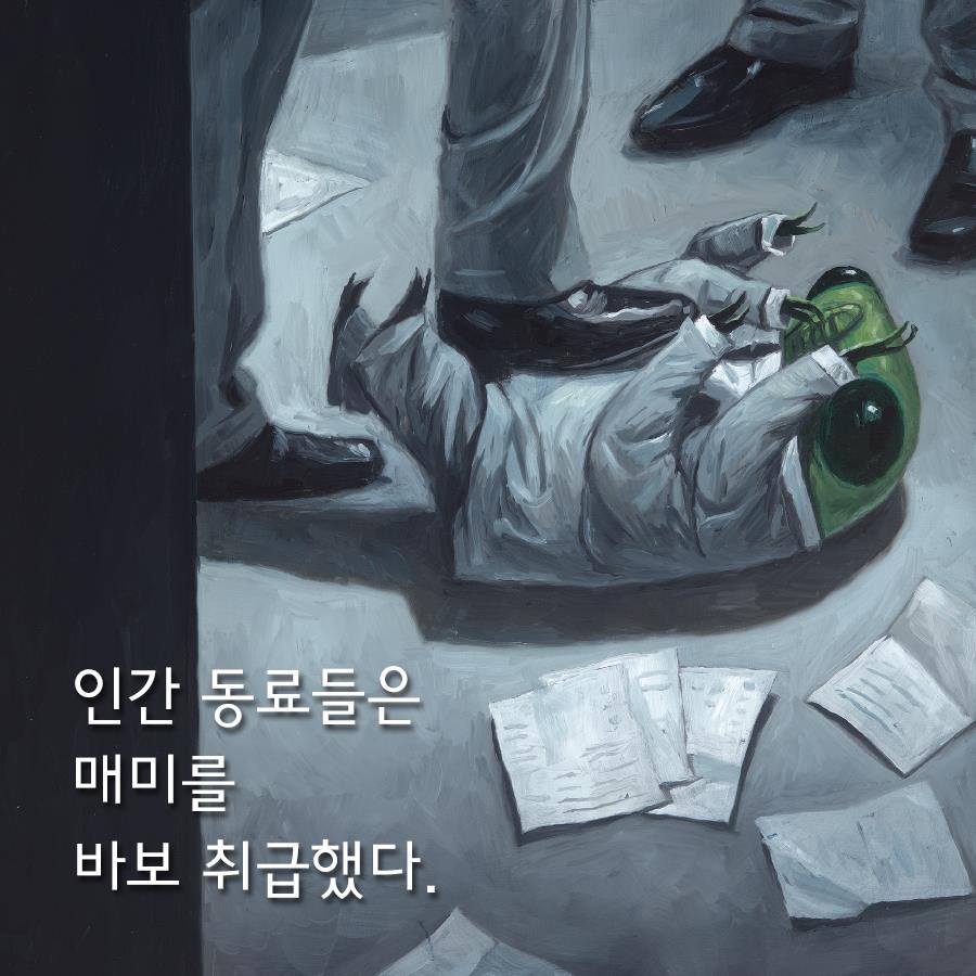 카드뉴스4