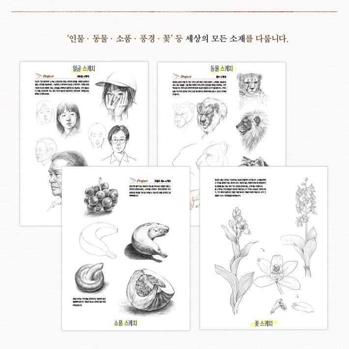 카드뉴스3