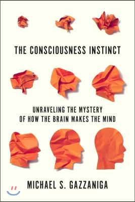 The Consciousness Instinct