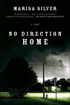 No Direction Home