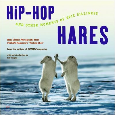 Hip-Hop Hares: And Other Moments of Epic Silliness