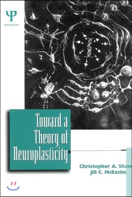 Toward a Theory of Neuroplasticity