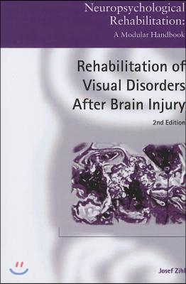 Rehabilitation of Visual Disorders After Brain Injury