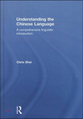 Understanding the Chinese Language