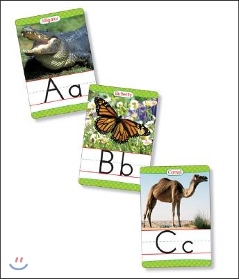 Animals from a to Z Alphabet Set