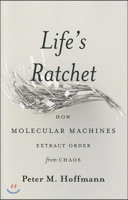 Life&#39;s Ratchet: How Molecular Machines Extract Order from Chaos