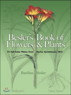 Besler&#39;s Book of Flowers and Plants: 73 Full-Color Plates from Hortus Eystettensis, 1613