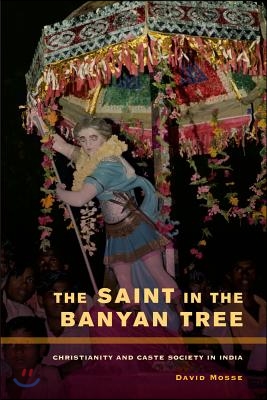 The Saint in the Banyan Tree: Christianity and Caste Society in India Volume 14