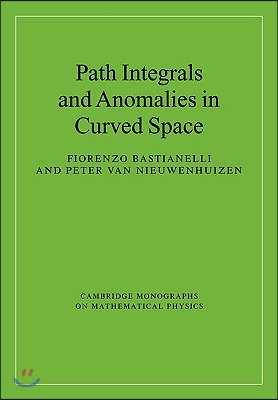 Path Integrals and Anomalies in Curved Space