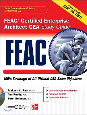 FEAC Certified Enterprise Architect CEA Study Guide [With CDROM]