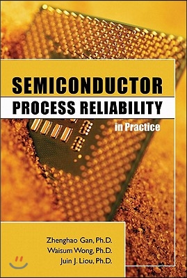 Semiconductor Process Reliability in Practice