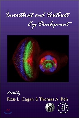 Invertebrate and Vertebrate Eye Development: Volume 93