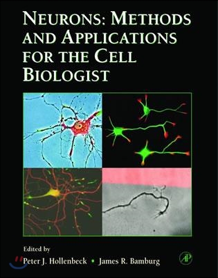 Neurons: Methods and Applications for the Cell Biologist: Volume 71