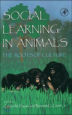 Social Learning in Animals: The Roots of Culture