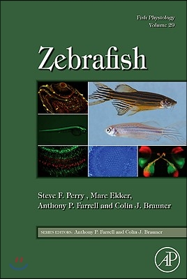 Fish Physiology: Zebrafish: Volume 29