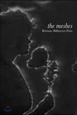 The Meshes