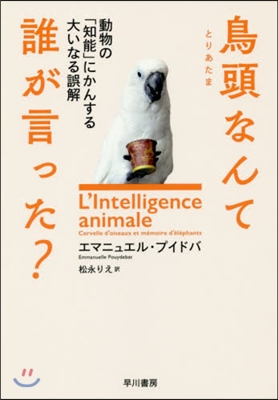 鳥頭なんて誰が言った? 