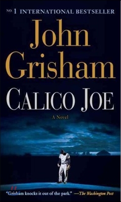 Calico Joe (Paperback)