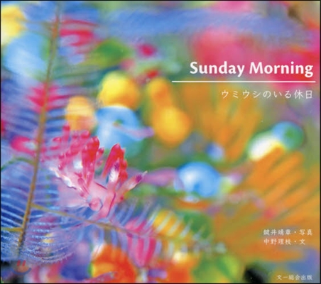 SUNDAY MORNING ウミウシのいる休日