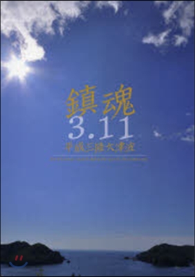 鎭魂3.11 DVD付 平成三陸大津波