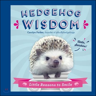 Hedgehog Wisdom: Little Reasons to Smile