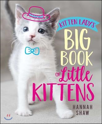 Kitten Lady's Big Book of Little Kittens