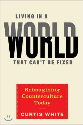 Living in a World That Can&#39;t Be Fixed: Reimagining Counterculture Today